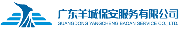 成都戈伟家庭视频监控有限公司